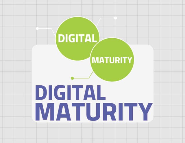 ارزیابی بلوغ دیجیتال